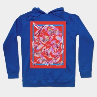 mexican bird cage of mockingbird & hummingbird ecopop Hoodie